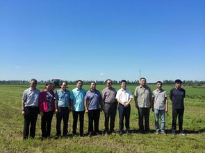 動(dòng)物營(yíng)養(yǎng)與飼料科學(xué)系黨支部開展 兩學(xué)一做 主題實(shí)踐活動(dòng)