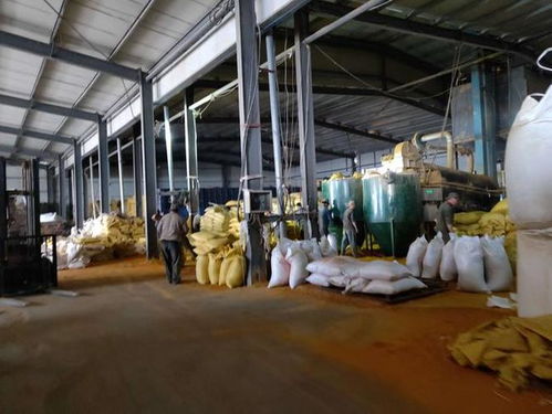 四川首富易主,從500元?jiǎng)?chuàng)業(yè)養(yǎng)魚,到身價(jià)1250億,他是如何做到的