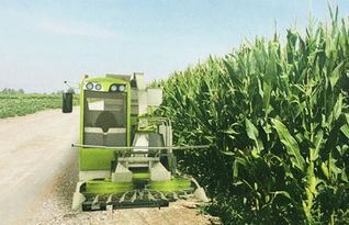 科脈機械4qzy 30自走式青貯飼料收獲機報價 補貼和圖片 甘肅金科峰農(nóng)業(yè)裝備工程有限責任公司