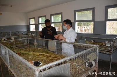 以工代訓(xùn)--中國農(nóng)業(yè)援非專家在莫桑比克的培訓(xùn)模式