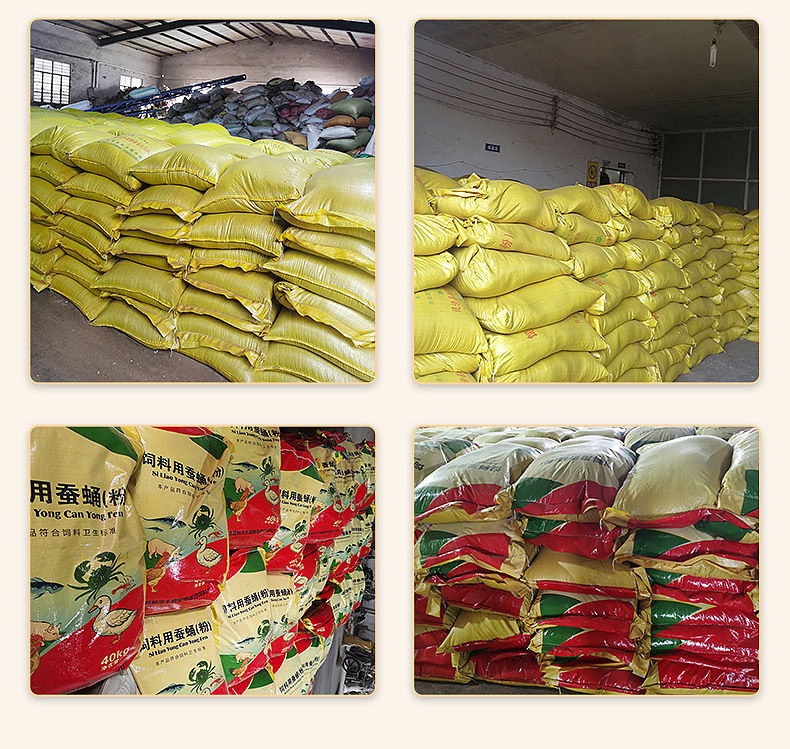 羅非魚飼料干蠶蛹 水產養殖飼料蠶蛹粉 釣魚打窩動物飼料蠶蛹