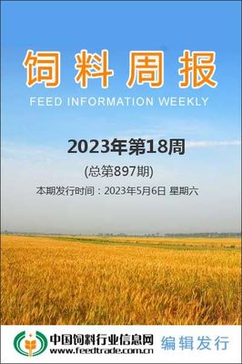 飼料周報 市場動態與行業觀察