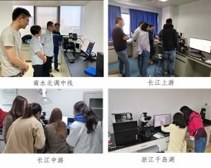 AI技術賦能，水生態(tài)智能監(jiān)測服務邁向新高度